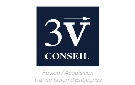 3V CONSEIL